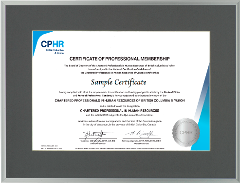 CPHR BC&YT Satin Silver Metal frame with single medium grey mat board
